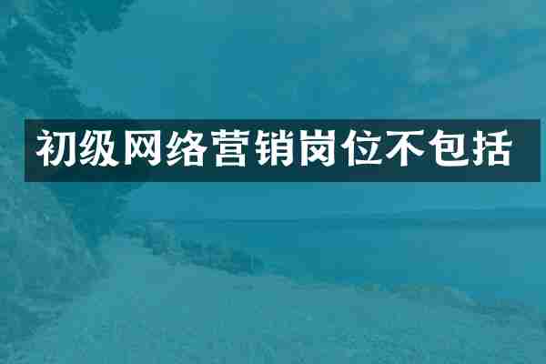 初级网络营销岗位不包括