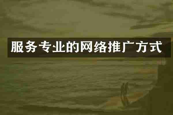 服务专业的网络推广方式