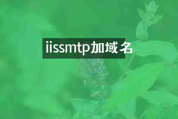 iissmtp加域名