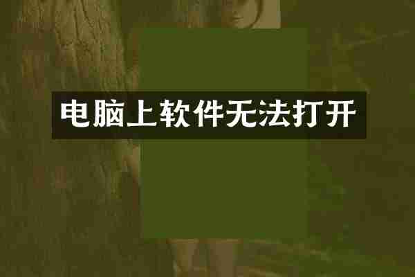 电脑上软件无法打开