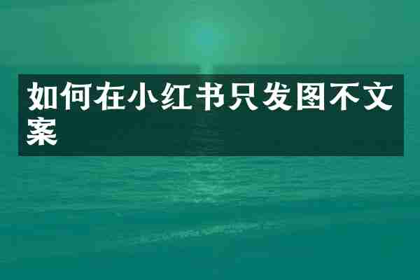 如何在小红书只发图不文案