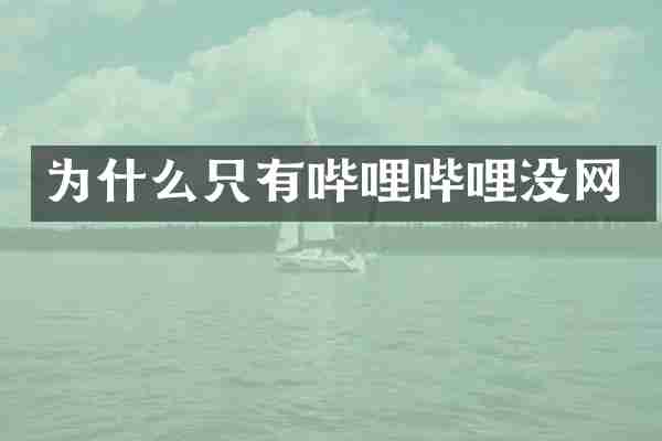 为什么只有哔哩哔哩没网