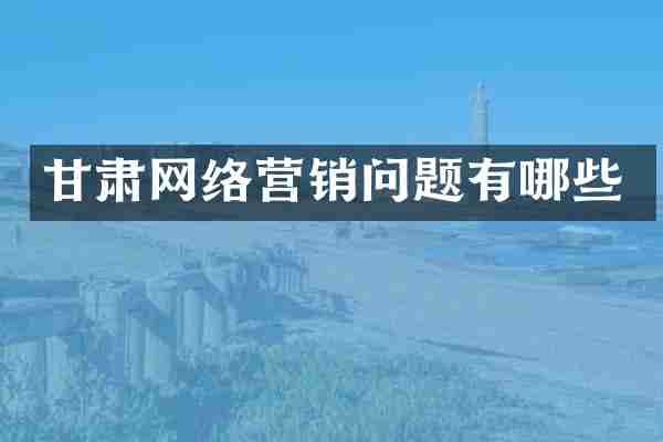 甘肃网络营销问题有哪些