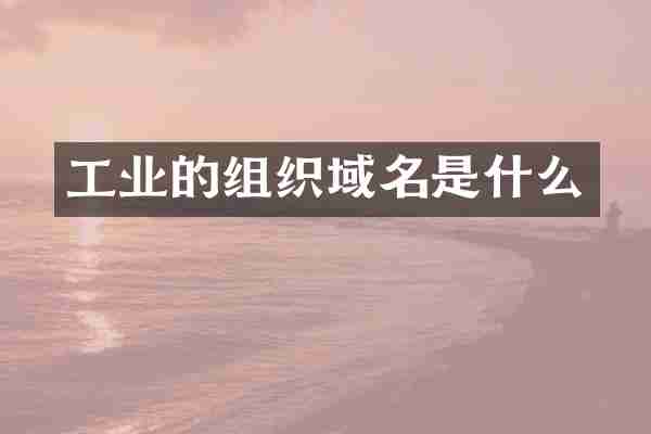 工业的组织域名是什么