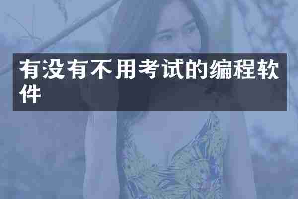 有没有不用考试的编程软件