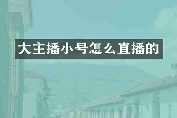 大主播小号怎么直播的