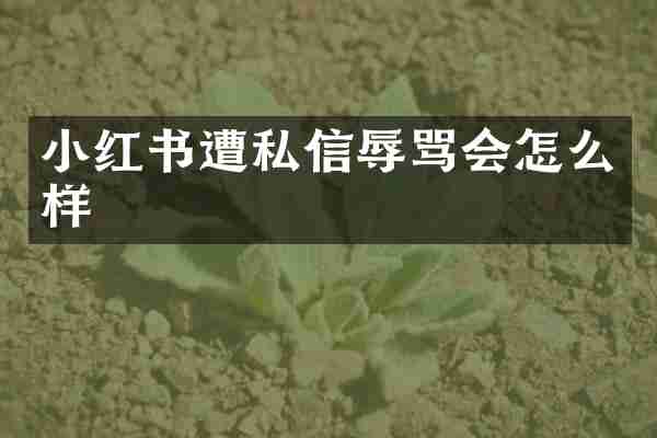 小红书遭私信辱骂会怎么样