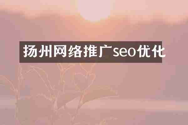 扬州网络推广seo优化