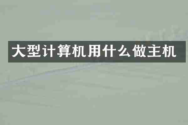 大型计算机用什么做主机