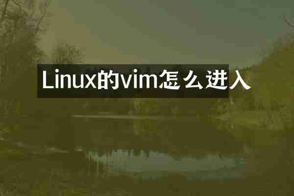 Linux的vim怎么进入