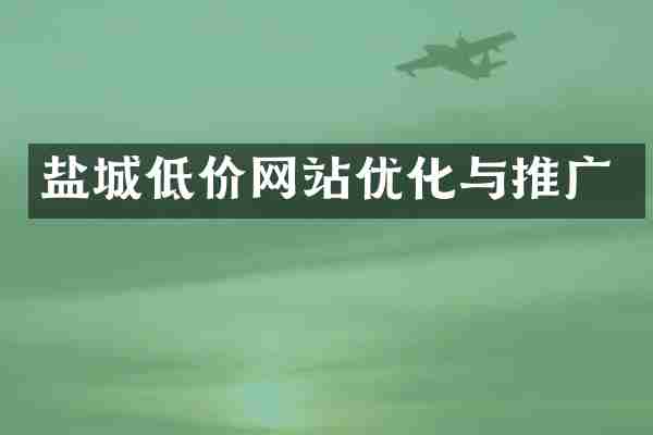 盐城低价网站优化与推广