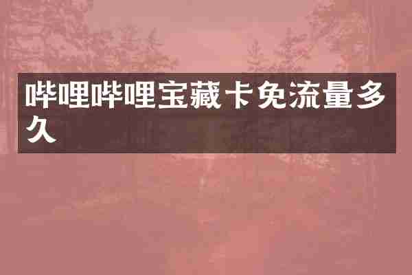 哔哩哔哩宝藏卡免流量多久