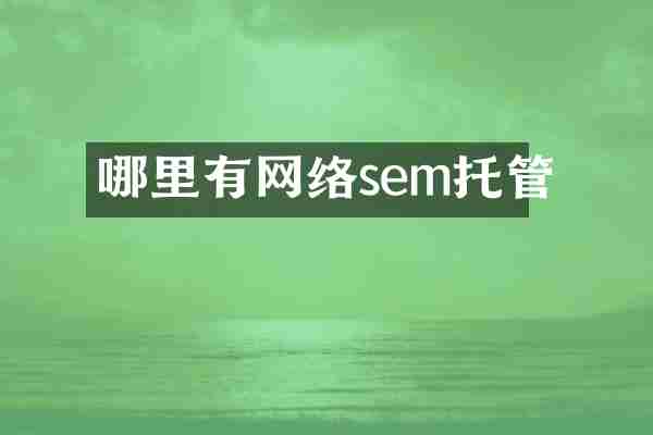 哪里有网络sem托管