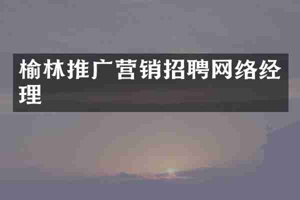 榆林推广营销招聘网络经理