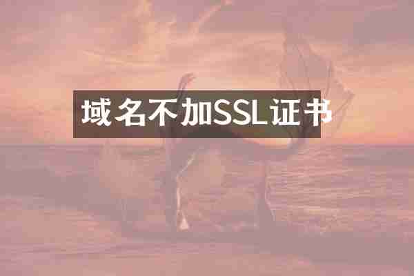 域名不加SSL证书