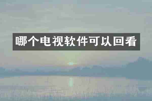 哪个电视软件可以回看