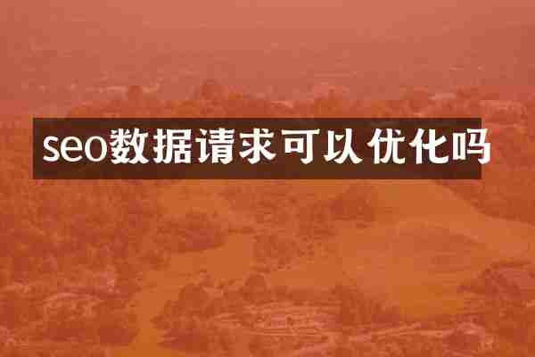 seo数据请求可以优化吗