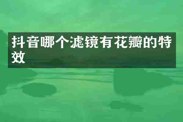 抖音哪个滤镜有花瓣的特效