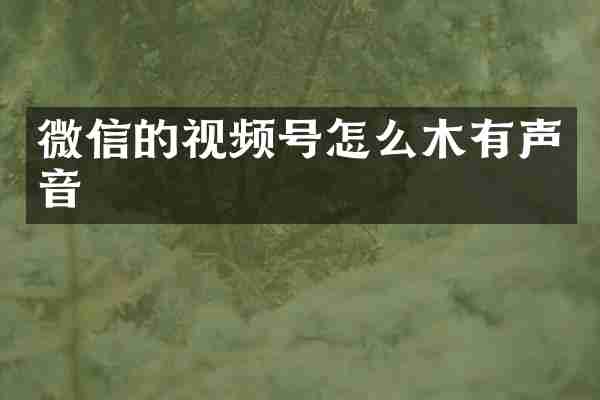 微信的视频号怎么木有声音