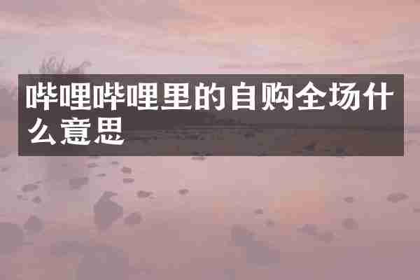 哔哩哔哩里的自购全场什么意思
