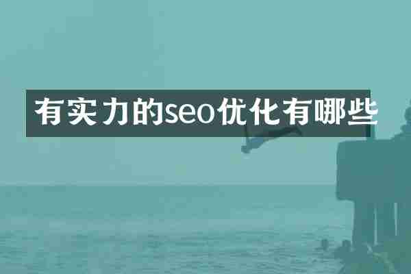 有实力的seo优化有哪些