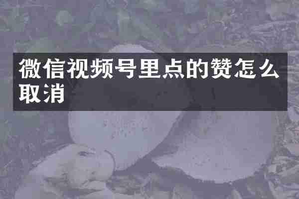 微信视频号里点的赞怎么取消