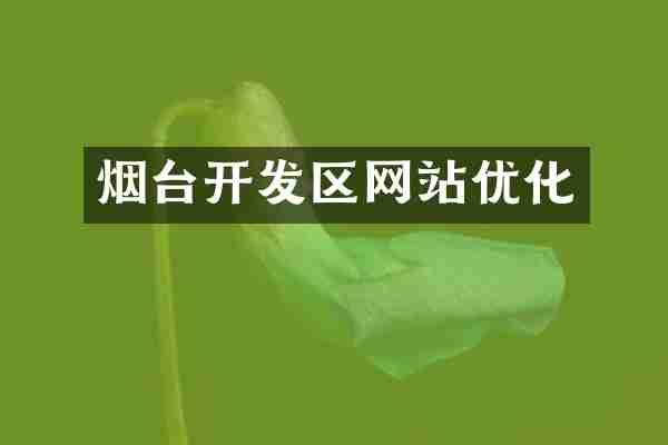 烟台开发区网站优化
