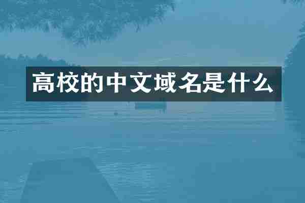 高校的中文域名是什么
