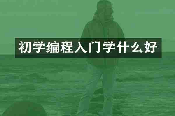 初学编程入门学什么好