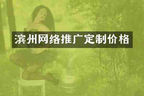 滨州网络推广定制价格