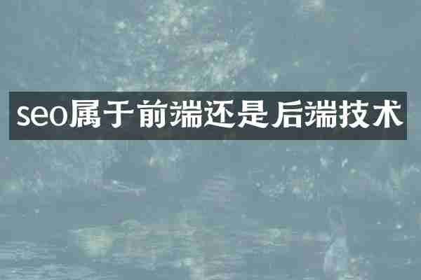 seo属于前端还是后端技术