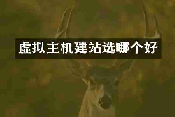 虚拟主机建站选哪个好
