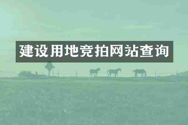建设用地竞拍网站查询
