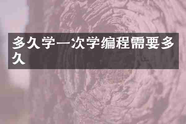 多久学一次学编程需要多久