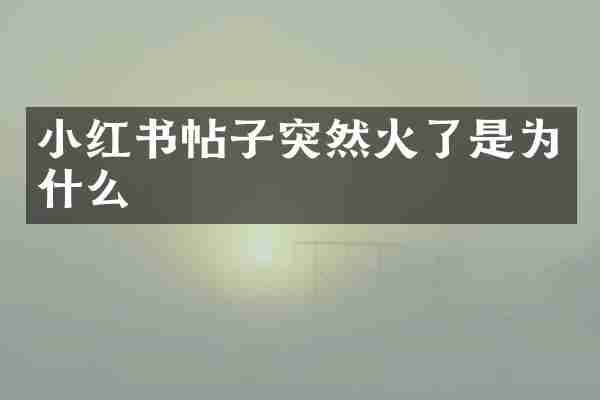小红书帖子突然火了是为什么