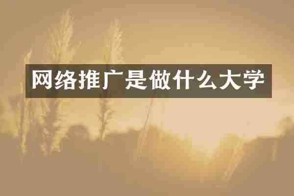 网络推广是做什么大学