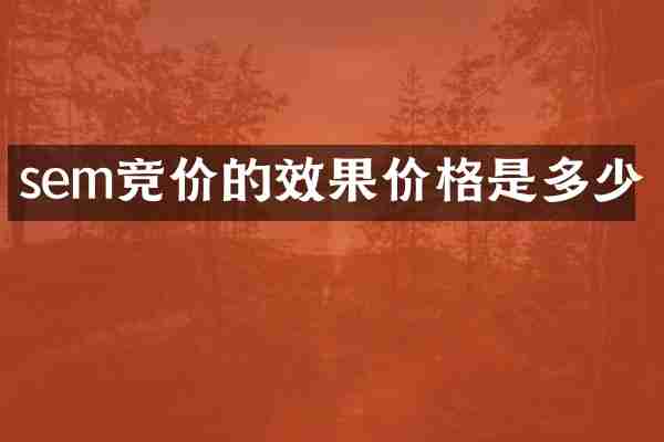 sem竞价的效果价格是多少