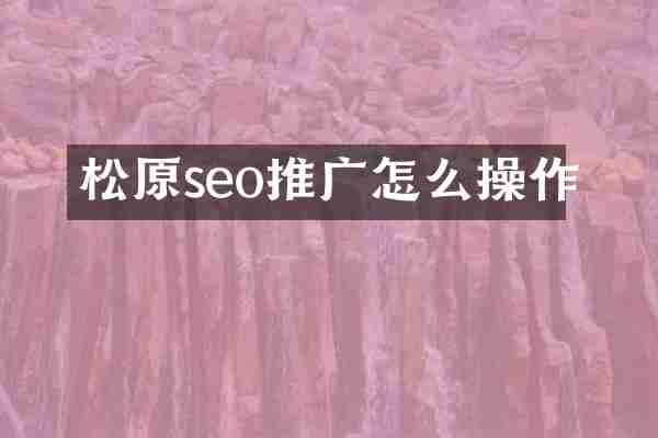 松原seo推广怎么操作