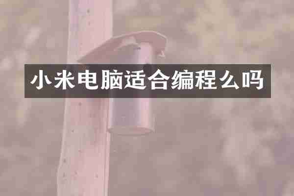 小米电脑适合编程么吗