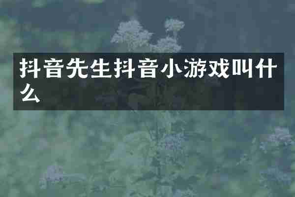 抖音先生抖音小游戏叫什么
