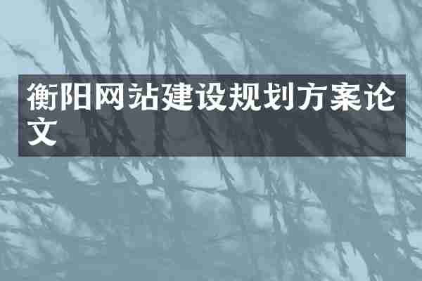 衡阳网站建设规划方案论文