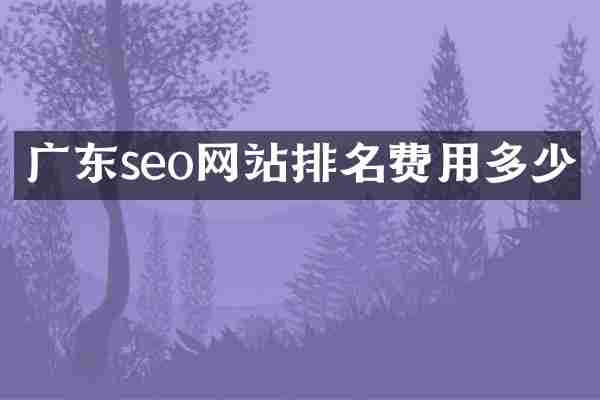 广东seo网站排名费用多少