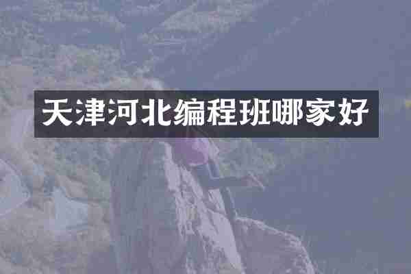 天津河北编程班哪家好