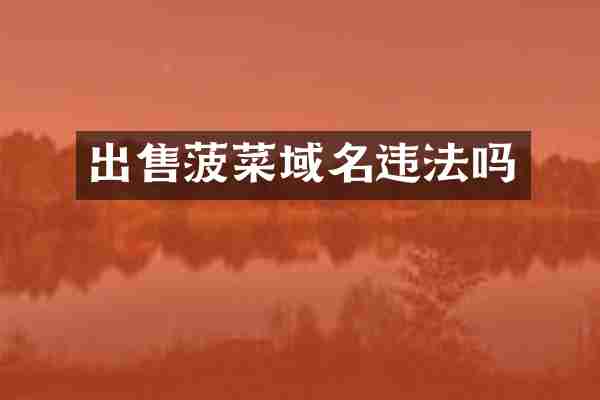 出售菠菜域名违法吗