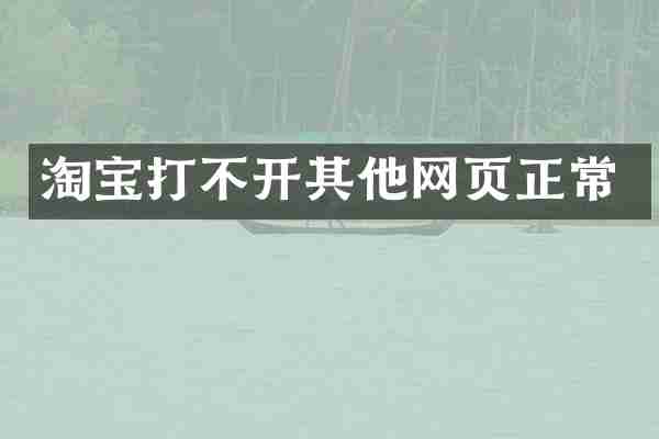淘宝打不开其他网页正常