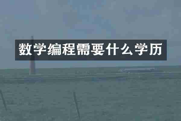 数学编程需要什么学历