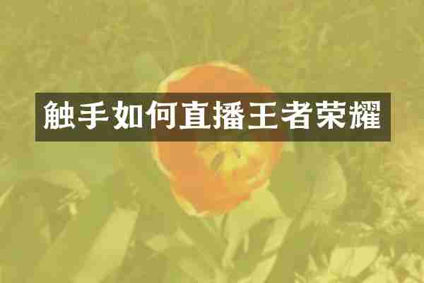 触手如何直播王者荣耀