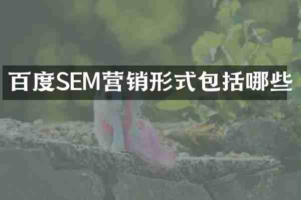 百度SEM营销形式包括哪些