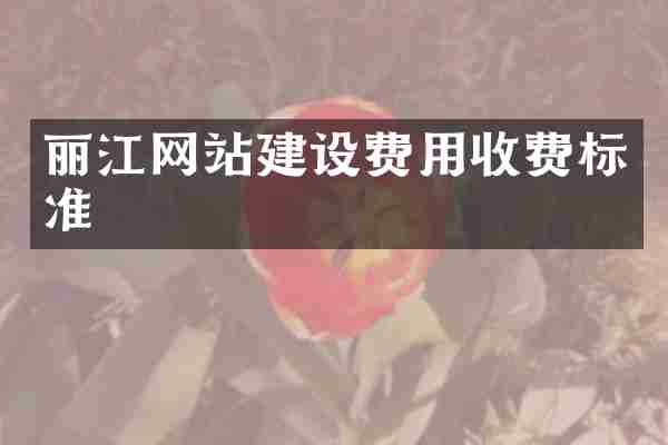 丽江网站建设费用收费标准