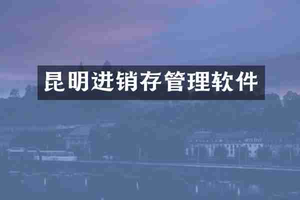 昆明进销存管理软件